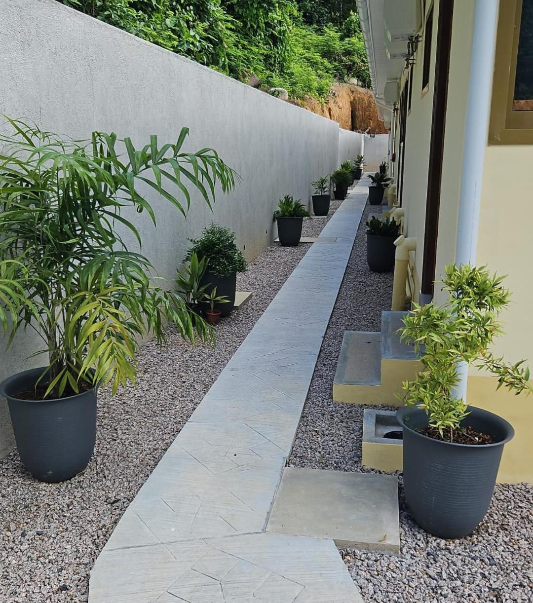 Solea Self Catering Hotel Victoria Luaran gambar
